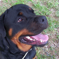 Photo de profil de Ugo
