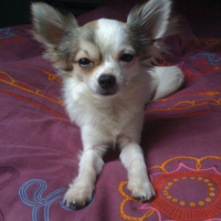 Photo de profil de Ramses