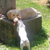 Photo de profil de Baboo