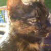 Photo de Lola