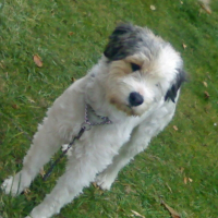 Photo de profil de Choukette