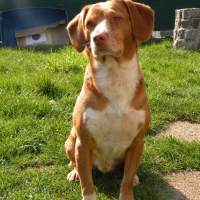 Photo de profil de Fluke