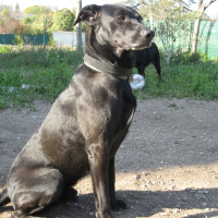 Photo de profil de Keo