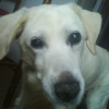 Photo de Lybie