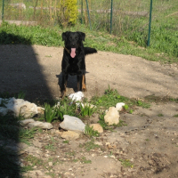 Photo de profil de Boulette