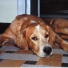 Photo de Samy