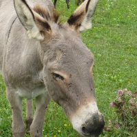 Photo de profil de Tamara