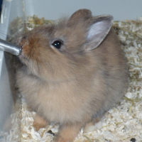 Photo de profil de Caouette