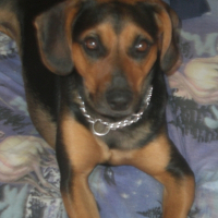 Photo de profil de Bayka