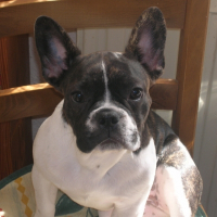 Photo de profil de Crystal