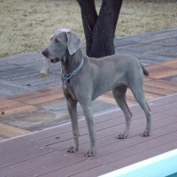 Photo de profil de Roxy
