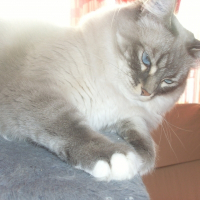 Photo de profil de Bali