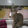 Photo de Luna