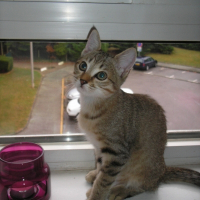 Photo de profil de Luna