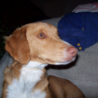 Photo de profil de Chloé
