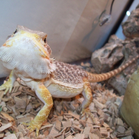 Photo de profil de Mooréa