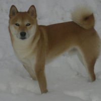 Photo de profil de Usky