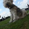 Photo de Titou