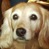 Photo de Candy
