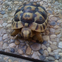 Photo de profil de Caroline