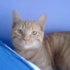 Photo de Noa