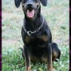 Photo de Twix