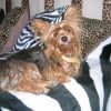 Photo de Tinna 
