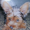 Photo de Xenna  