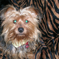 Photo de profil de Donna