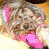 Photo de Boull 