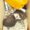 Photo de Lilou