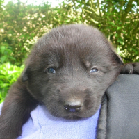 Photo de profil de Enzo