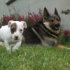 Photo de Emie
