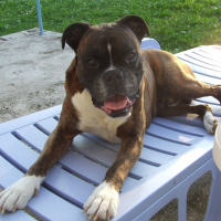 Photo de profil de Randy