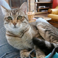 Photo de profil de Babouche