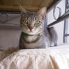 Photo de Granite