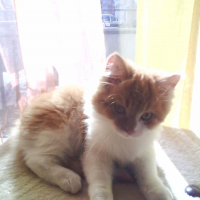 Photo de profil de Milo