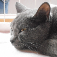 Photo de profil de Divine des ptits charmeurs