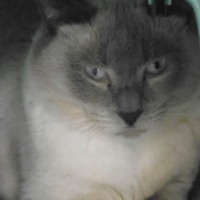 Photo de profil de Athos