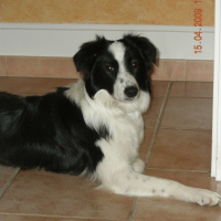 Photo de profil de Choupa