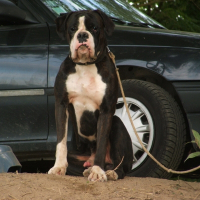 Photo de profil de Zion