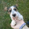 Photo de Djayke
