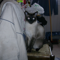 Photo de profil de Indy