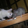 Photo de Moumoune