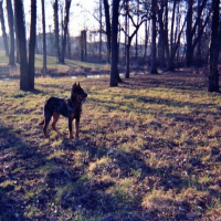 Photo de profil de Tara
