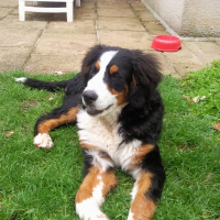Photo de profil de Dzia