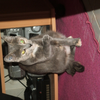 Photo de profil de Mounette