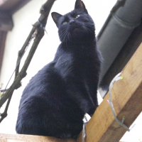 Photo de profil de Yu-mï