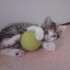 Photo de Canelle