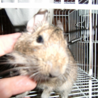 Photo de profil de Yûki